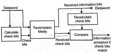 Detection system using check bits